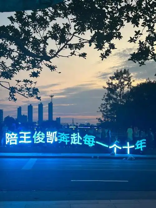 蓝海,还有灯牌拼字 高喊名字和口号"从开始到未来,只为王俊凯" 大合唱