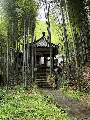 竹林小屋