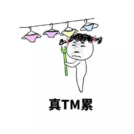 真tm累