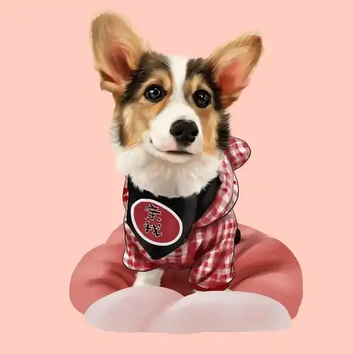 柯基小短腿宠物手绘宠物头宠物插画手绘约稿