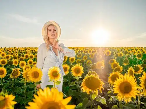 年轻美丽金发的女人站在向日葵的字段中.夕阳的背景.