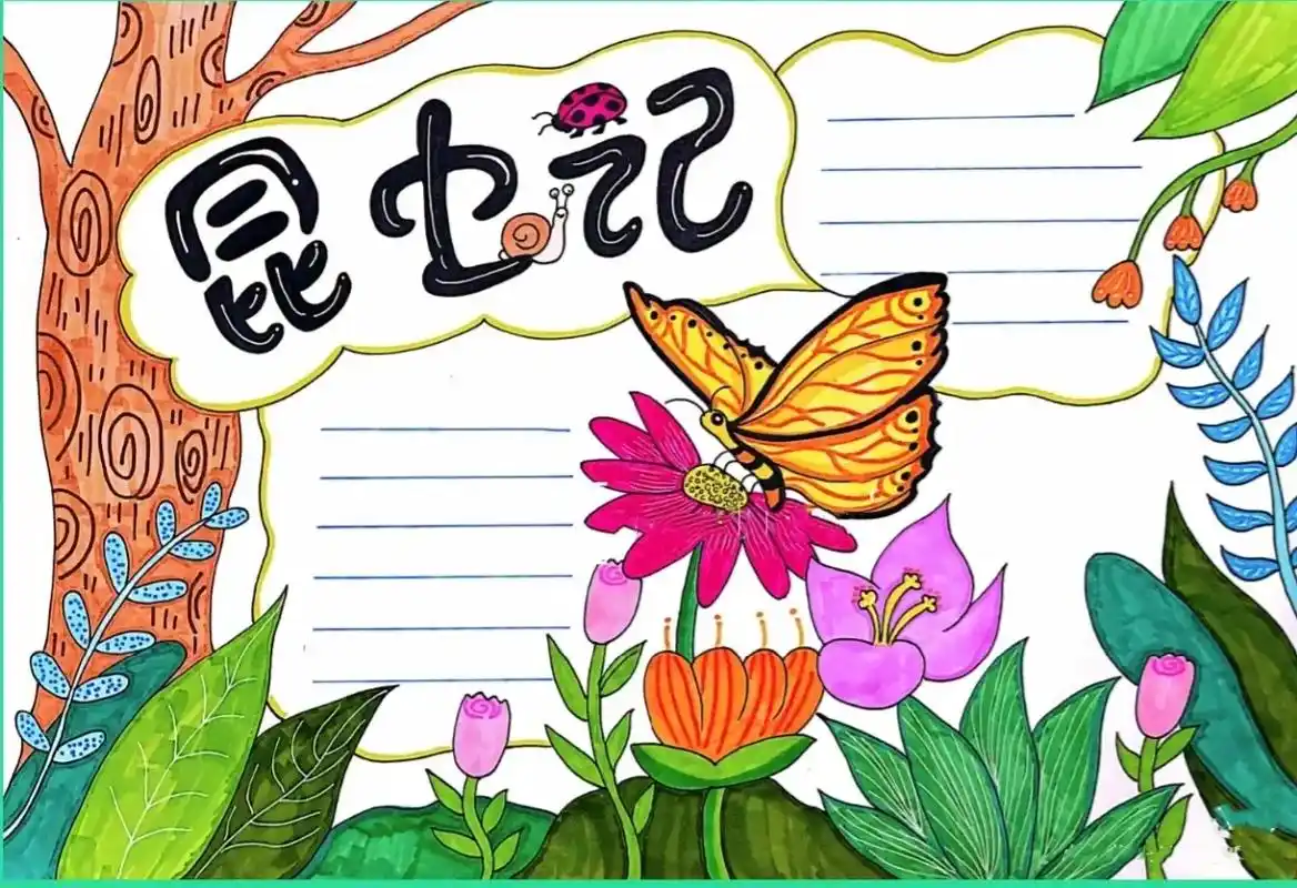 昆虫记手抄报#手抄报 #手抄 #手抄报作业  - 抖音