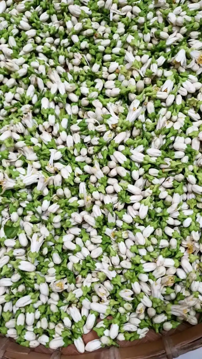 橙花纯露美白去黄补水神器淡斑