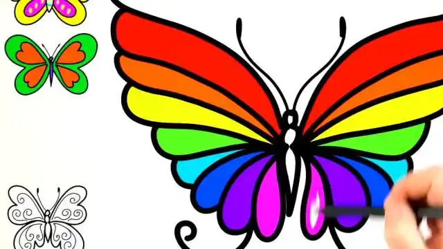 3种彩色蝴蝶的简易画法涂上你喜欢的颜色吧