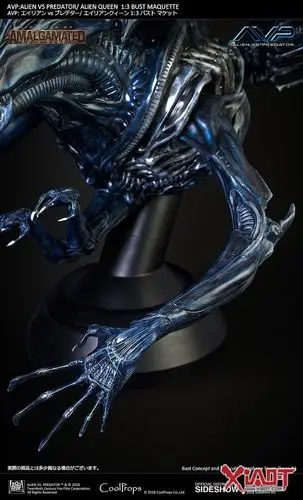coolprops《异性大战铁血战士》异形女王 1/3 比例胸像作品