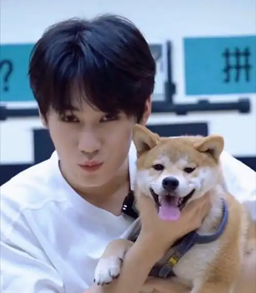 张真源 你最重要