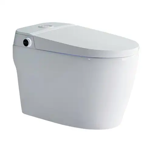 日本洪谷智能马桶全自动翻盖冲水坐便器一体智能坐便器