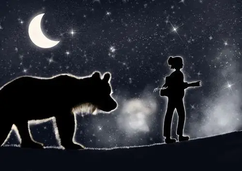 关键词:狮子座,摄影,星空