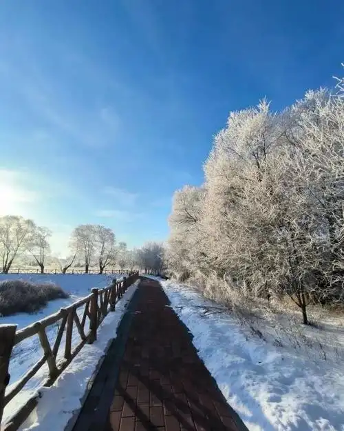 一路向北!来黑河五大连池,冬天的样子让你向往