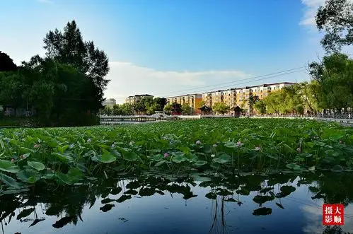 其它 月牙湖,这次我用镜头让你更美月牙湖公园位于伊春市南岔区中心的