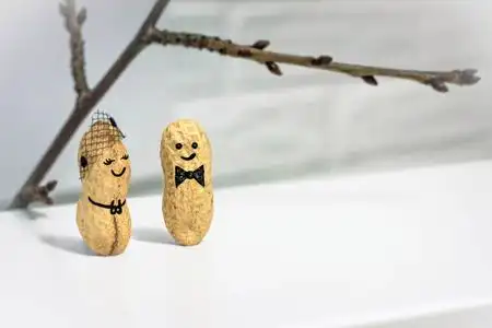 邀请.爱的概念.婚礼.在晚上的日期.创意手工制作从坚果一对天作之合.