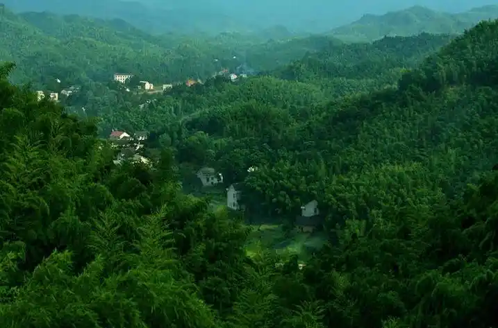 1.5小时逃离40℃的长沙,直奔湖南最清凉的万亩竹海!