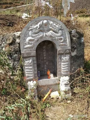 本公众号后台收到的邹氏祖墓图片