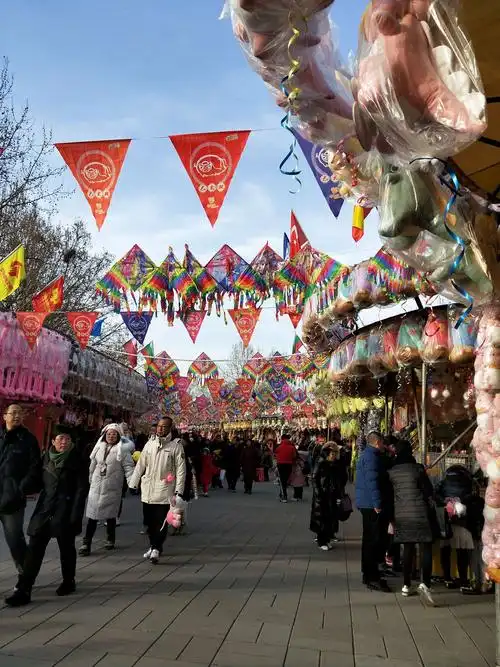 公园里的热闹情景