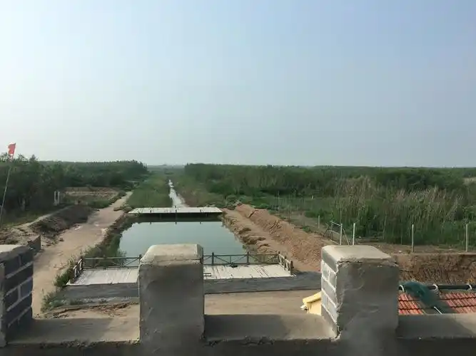 data-lemmaid="1180844">台田 /a>,排水沟道与鱼塘等其他农业生长机制