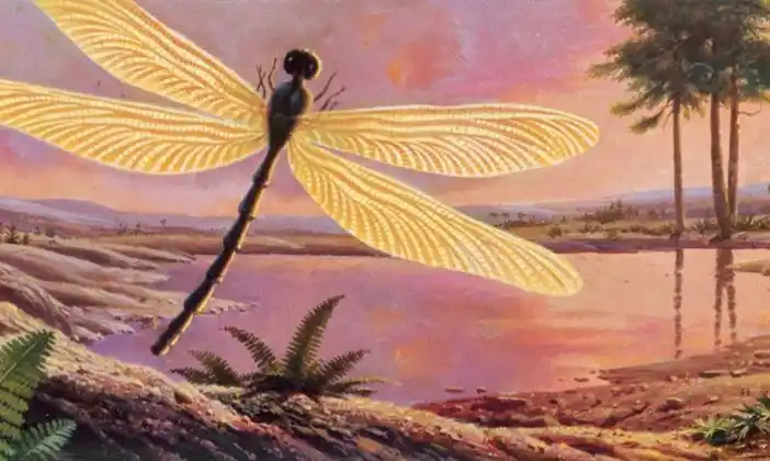 巨虫的时代:史前巨型昆虫的惊人进化历程