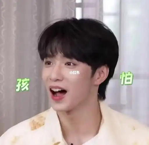 帅哥  #tnt时代少年团  #表情包  #我最爱的表情包  #时代少年团