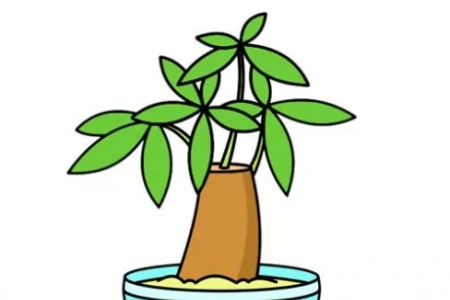 有寓意的发财树