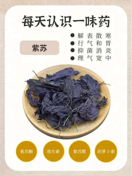 73功效:1,解表散寒紫苏有解表散寒的功效.