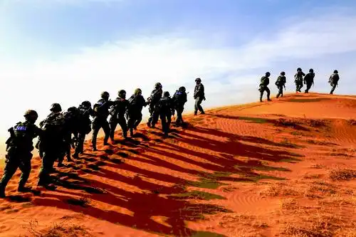 广东省清远市政府党组成员副市长彭裕殿接受纪律审查和监察调查