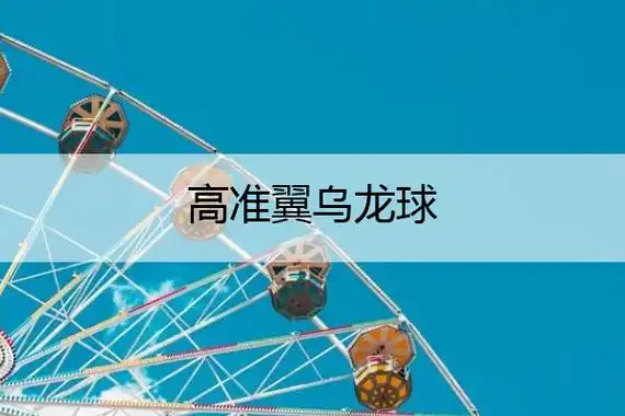 高准翼乌龙球 高准翼乌龙球是哪场比赛