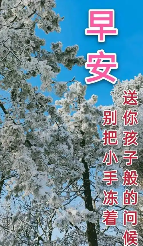 8张最新冬日风景雪景早上好祝福图片带字温馨_朋友_心情_岁月