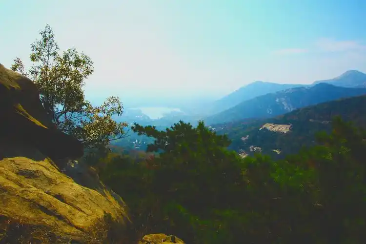 新甫山金秋风情 写美篇主题:新甫山金秋风情 地址:山东省新泰市新甫山