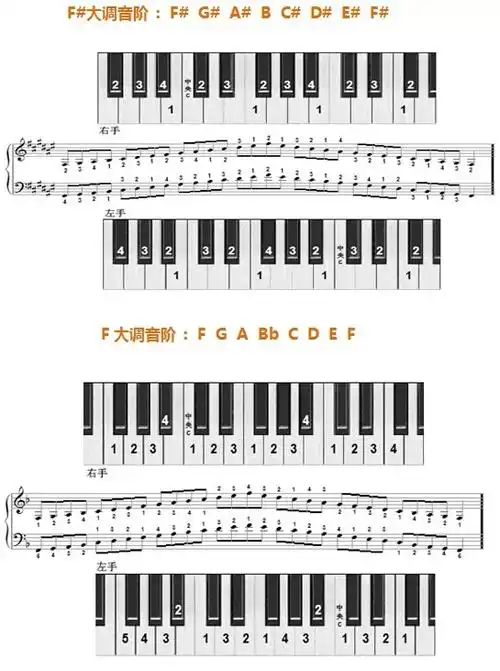 12个大调音阶及左右手指法图示