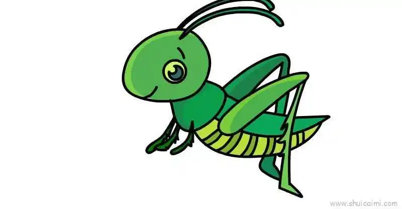 蚱蜢儿童画怎么画 蚱蜢简笔画画法画一个小蚂蚱的简笔画步骤教程蚱蜢