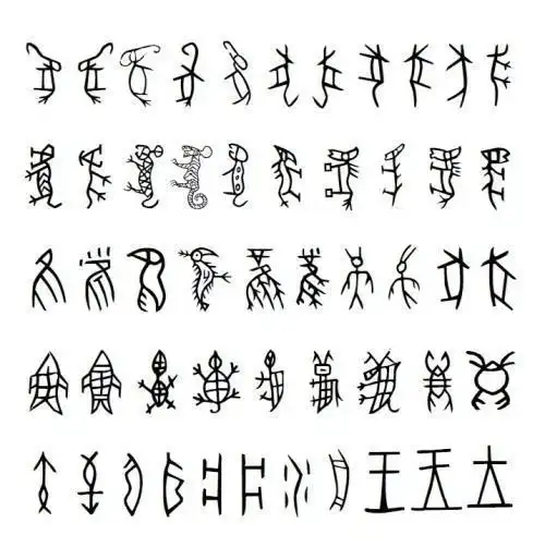 动物甲骨文描绘