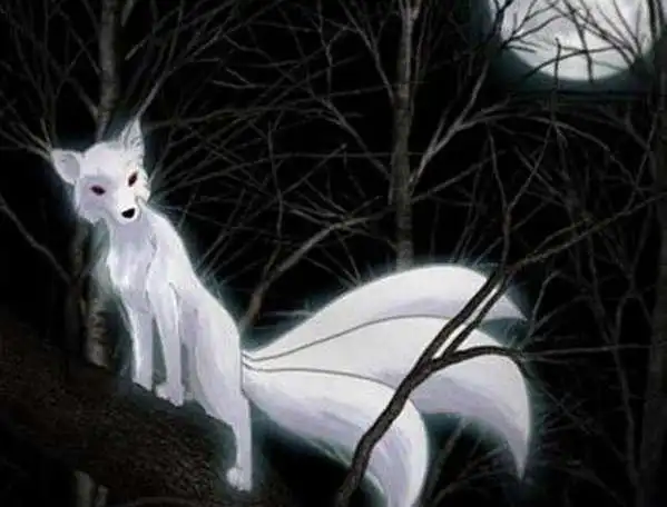 山海经和日本神话中都有九尾狐真的有这种动物吗