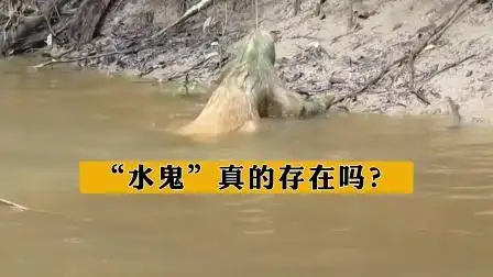 "水鬼"真的存在吗?湖南村民钓到水鬼!竟有手有脚还会婴儿叫!