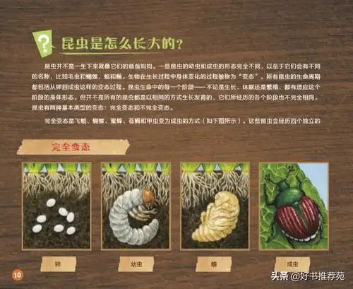 (《摘自《好问题儿童大百科61蚂蚁的力量有多大?