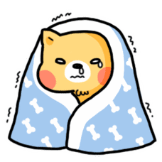 田园犬阿金表情包-冬季篇|动漫|网络表情|周笔不是