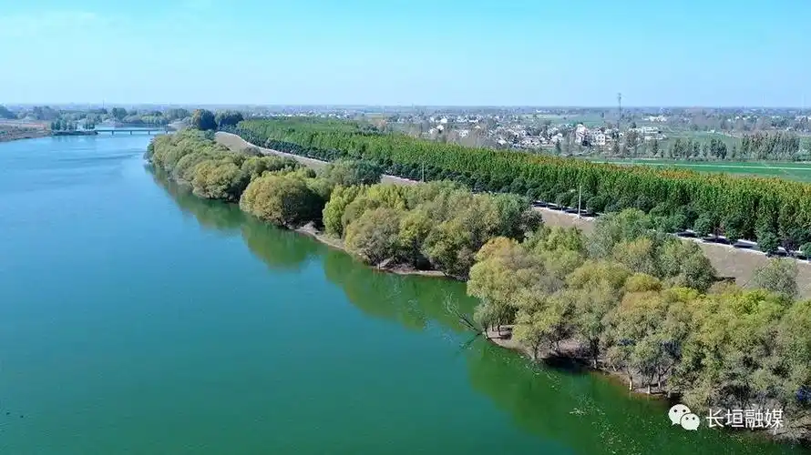 初冬时节长垣黄河岸畔别样美
