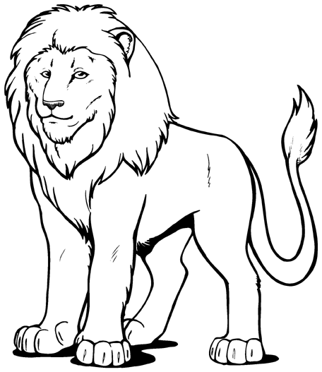 lion pictures clip art