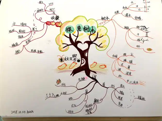 【超脑】英国博赞思维导图管理师刘文娟第八幅作品笔记