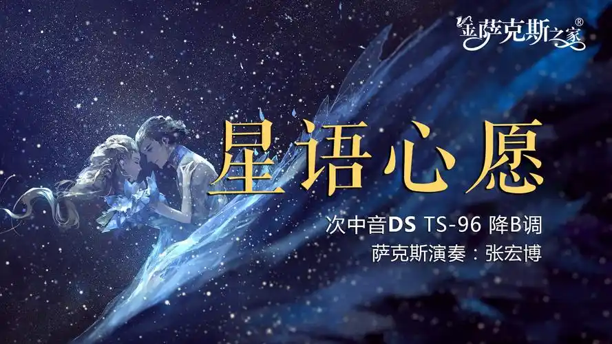 萨克斯经典《星语心愿》影视金曲 伤感的旋律 凄美的爱情