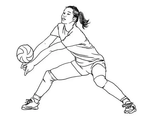 东方烟草报数字报刊平台-向中国女排学什么?