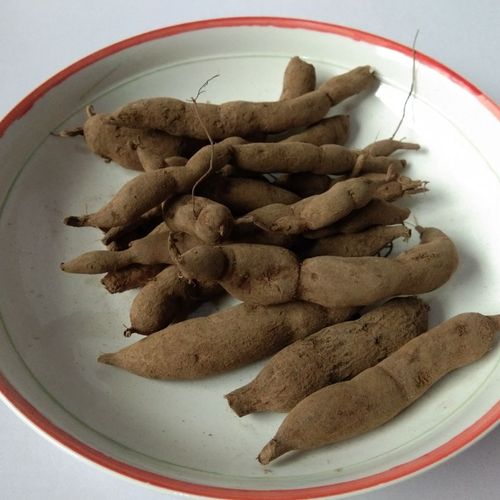 伟博贵州雪里开 中药材拐子药草药根单叶铁线莲新鲜纯根500克 500g