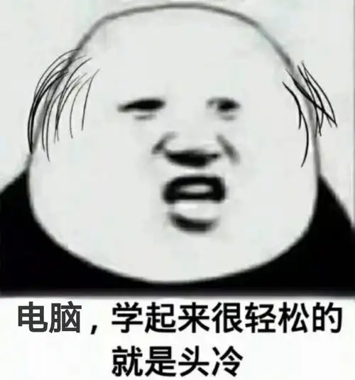 电脑,学起来很轻松的就是头冷 - 斗图表情包 - 金馆长表情库 - 真正的