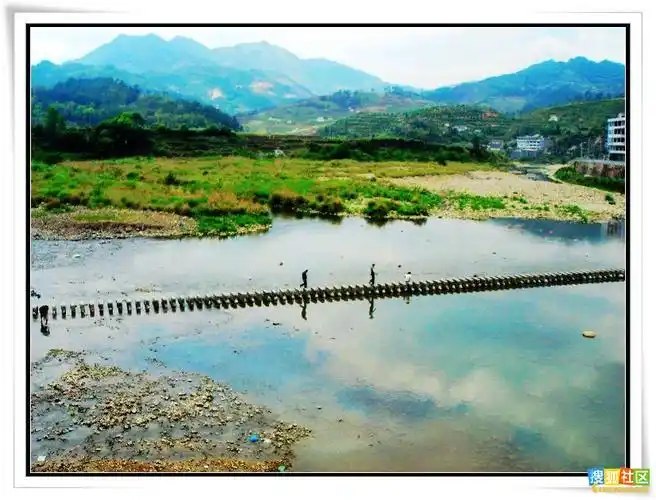 水上琴桥 - 琴心清远 - 羁情千里外