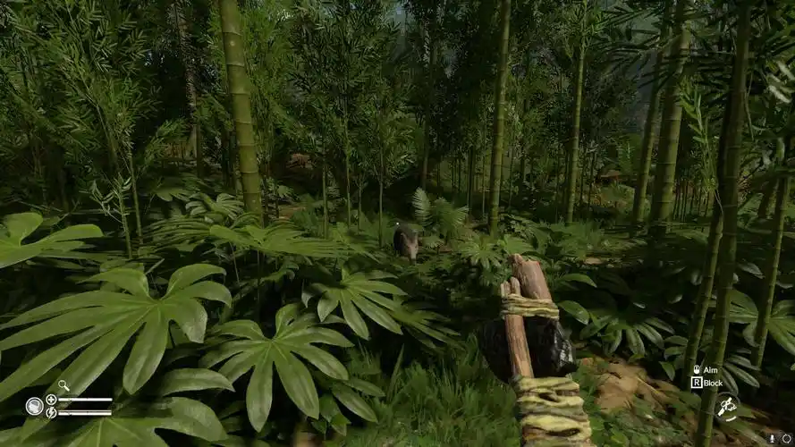 绿色地狱游戏简介绿色地狱游戏需要什么配置