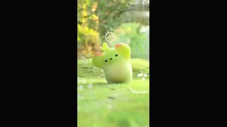 麦芽熊:可爱的麦芽熊