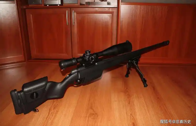 原创奥地利斯太尔公司有什么狙击步枪?