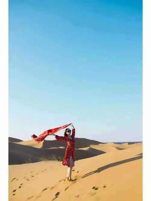 腾格里沙漠随行拍