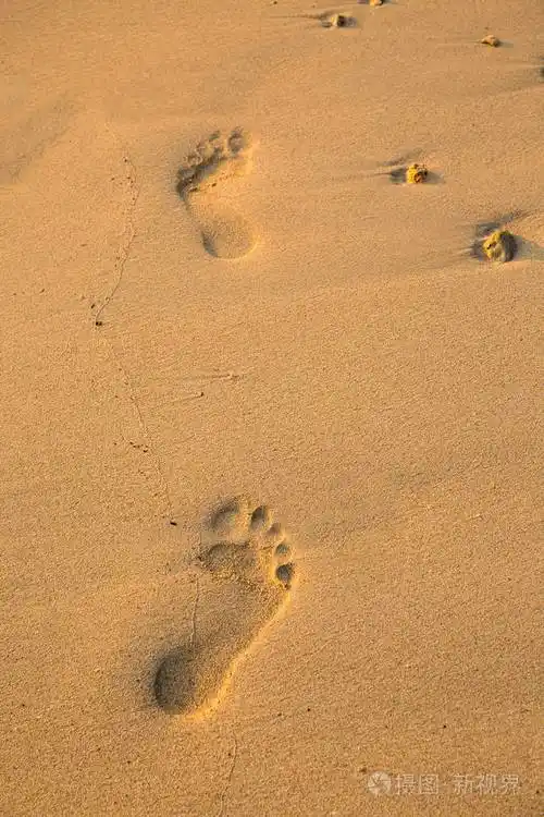 在沙滩上的足迹