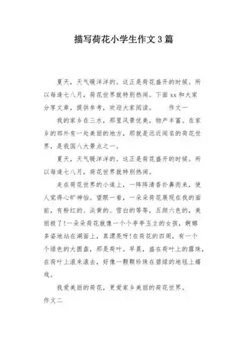 描写荷花小学生作文3篇