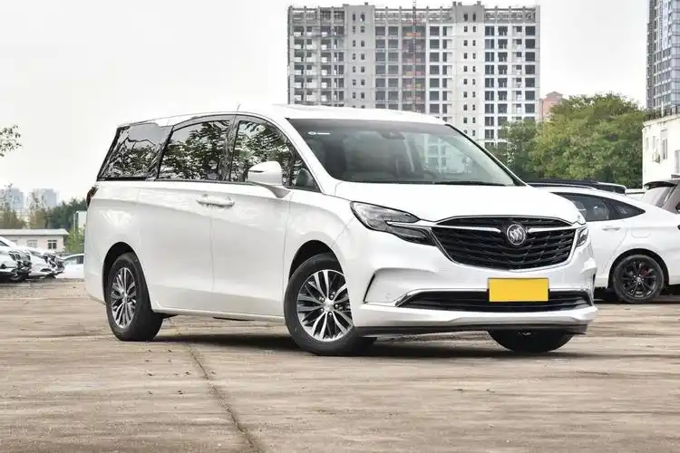 刘先生是土生土长的河南人,他所购买的车型是2022款 别克gl8 es陆尊