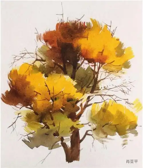 枝叶繁茂树木的水彩画法与步骤图示03